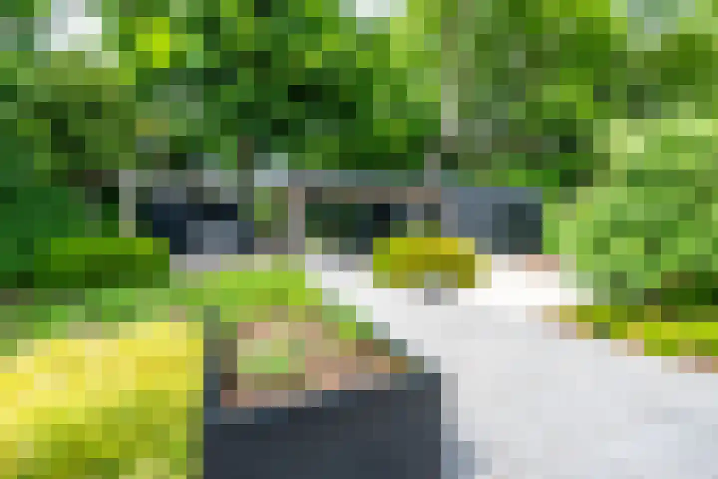 Oudewegselaan 2 Doorn thumbnail 29