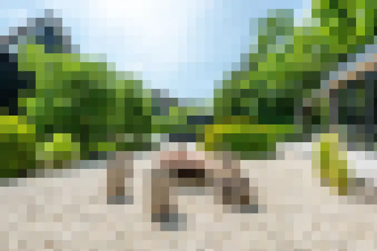 Oudewegselaan 2 Doorn thumbnail 30
