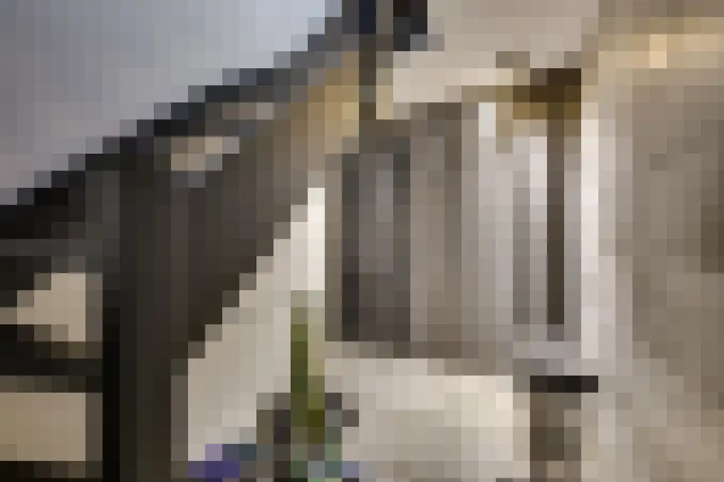Oudewegselaan 2 Doorn thumbnail 32