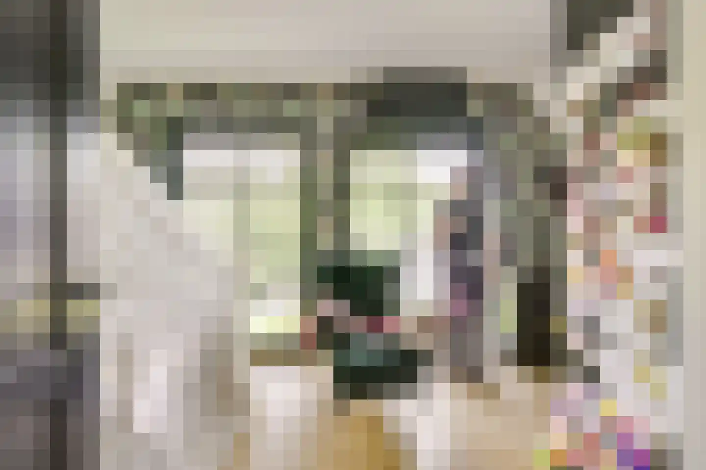 Oudewegselaan 2 Doorn thumbnail 40