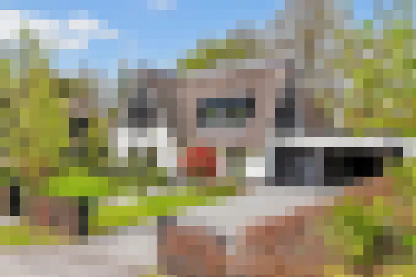 Oudewegselaan 5 Doorn