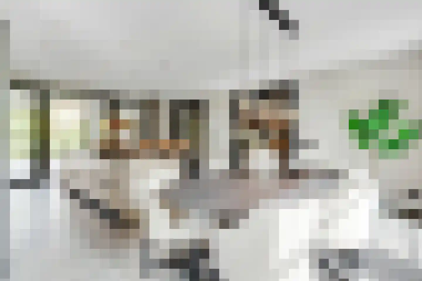 Oudewegselaan 5 Doorn thumbnail 10