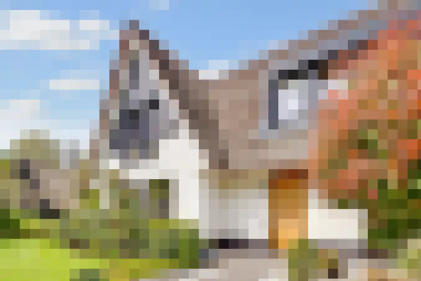 Oudewegselaan 5 Doorn thumbnail 5
