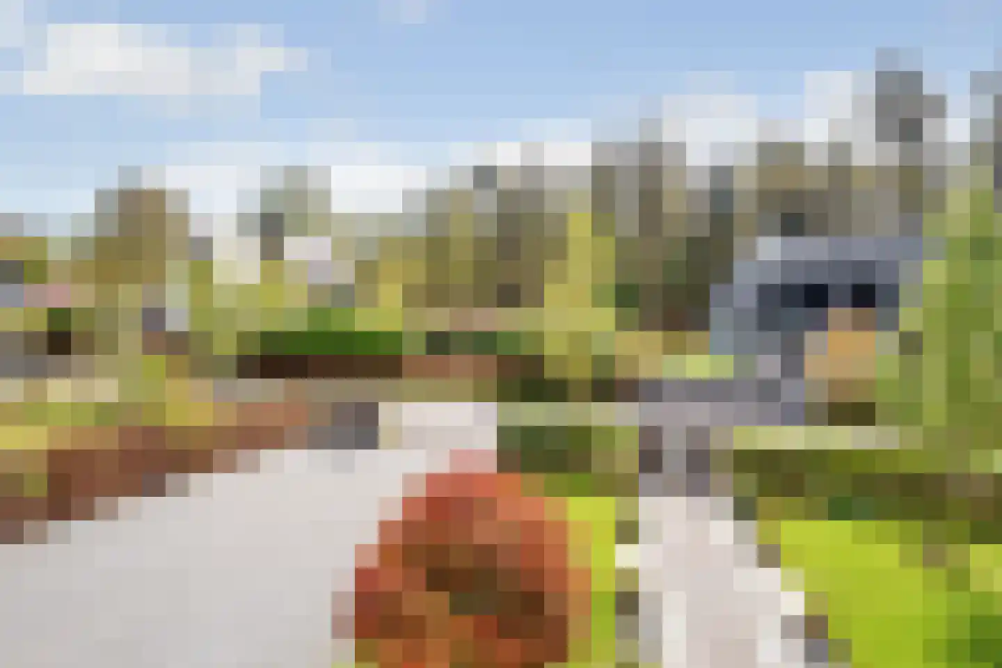 Oudewegselaan 5 Doorn thumbnail 54