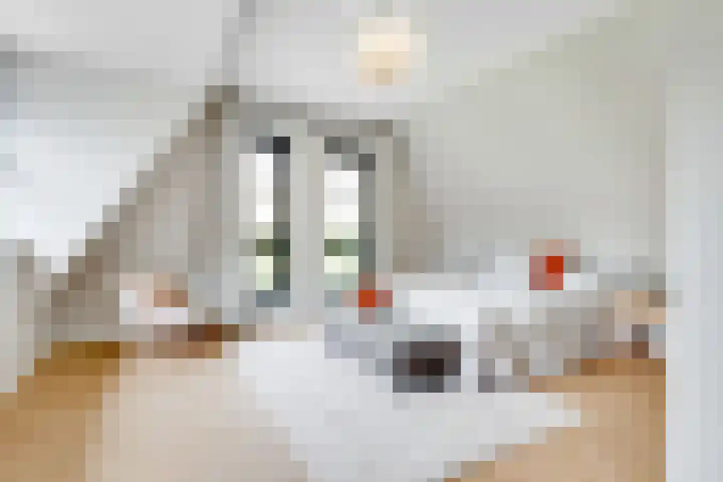 Oudewegselaan 5 Doorn thumbnail 57