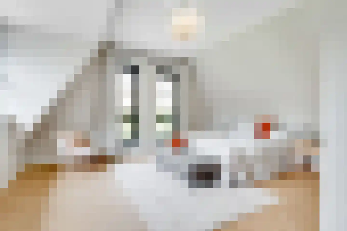 Oudewegselaan 5 Doorn thumbnail 58