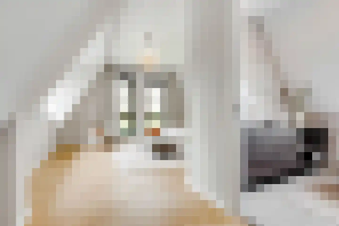Oudewegselaan 5 Doorn thumbnail 65