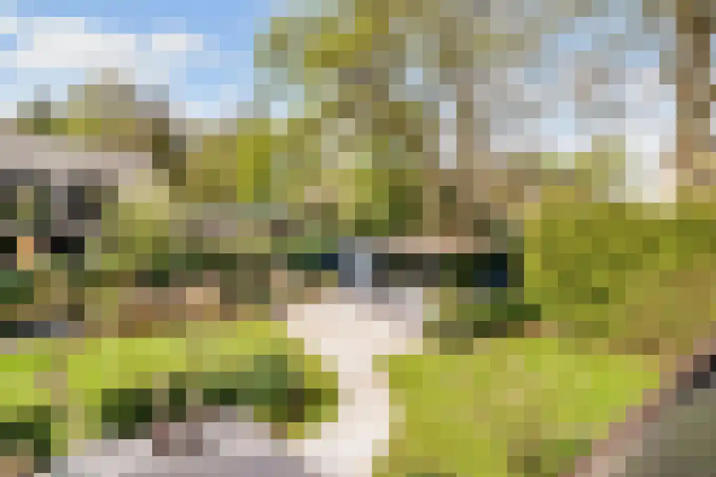 Oudewegselaan 5 Doorn thumbnail 65