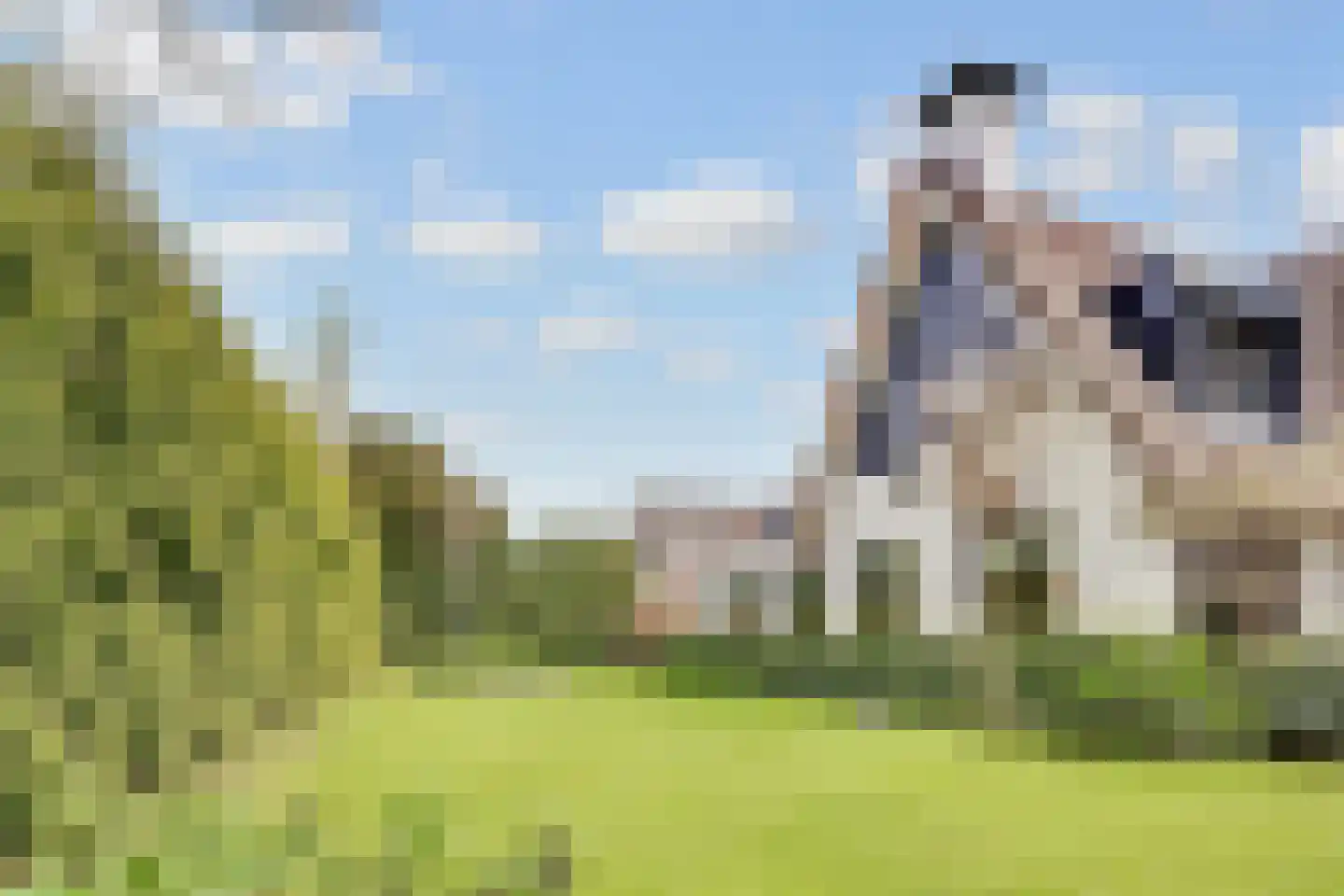 Oudewegselaan 5 Doorn thumbnail 74