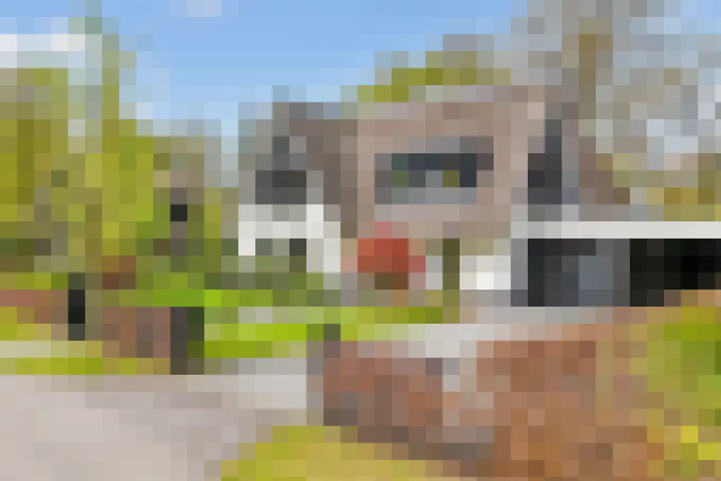 Oudewegselaan 5 Doorn thumbnail 88