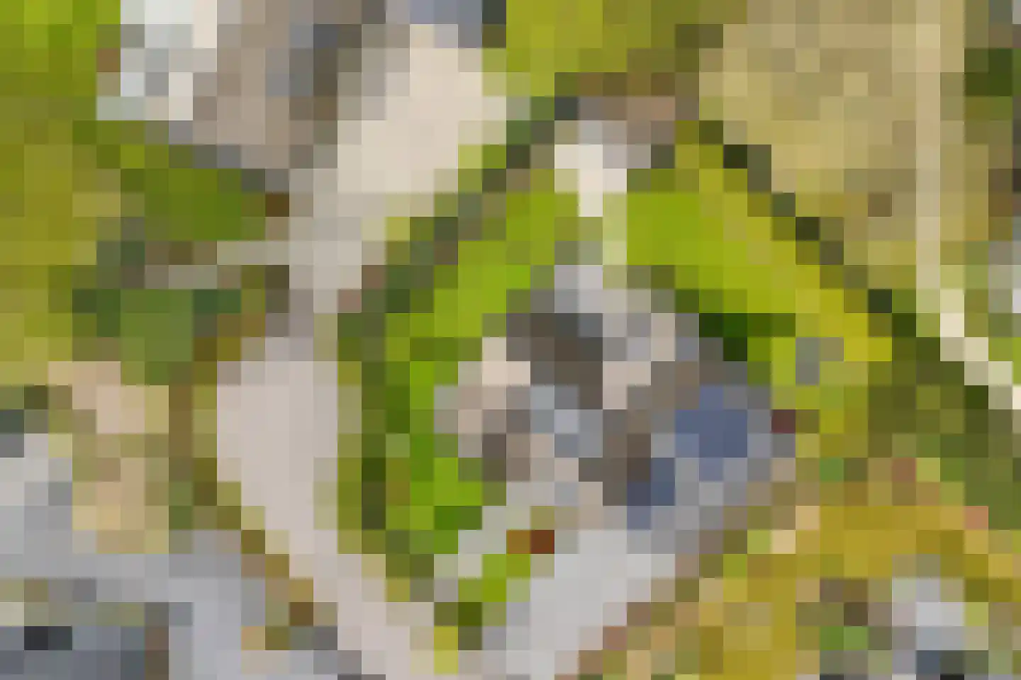 Oudewegselaan 5 Doorn thumbnail 89