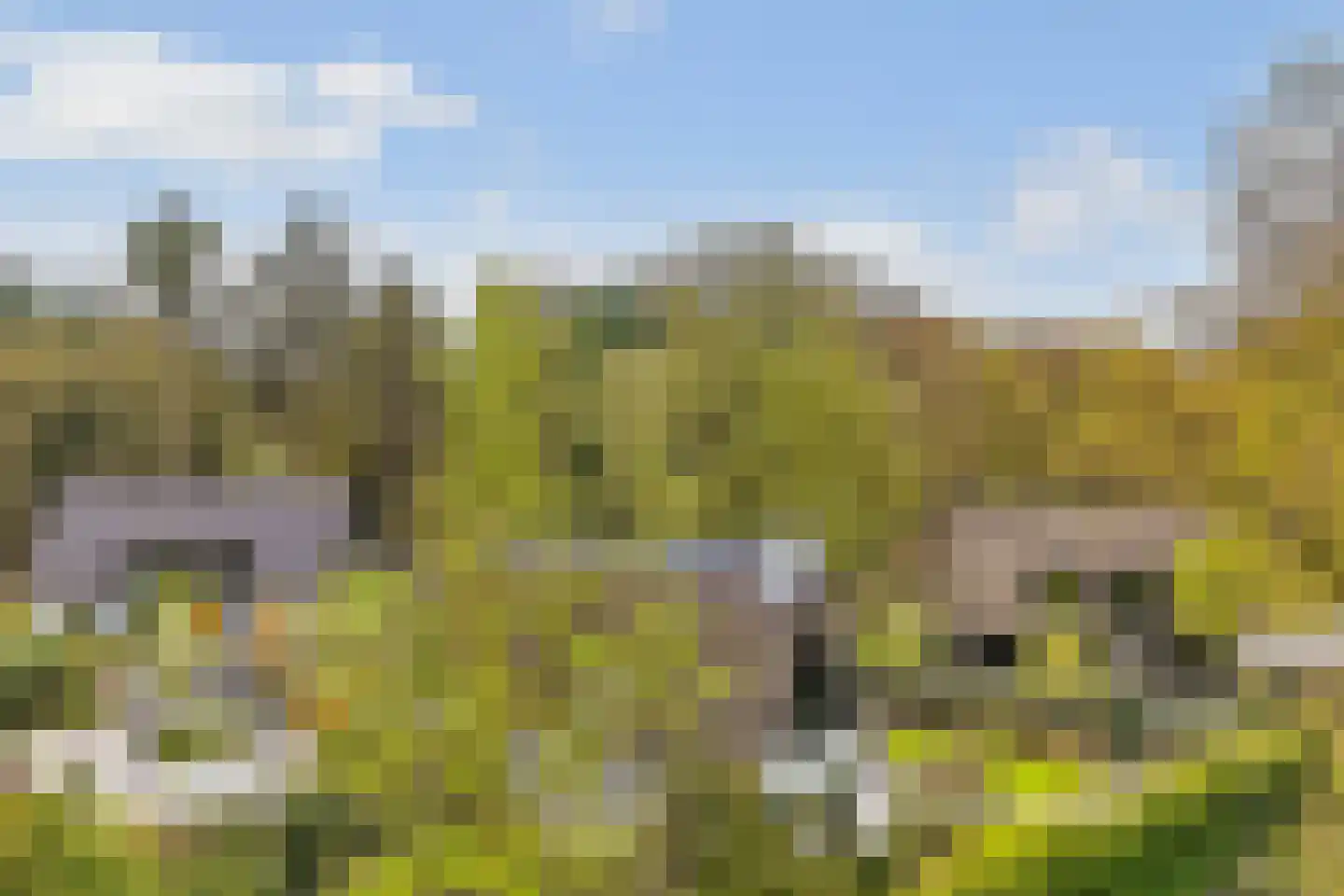 Oudewegselaan 5 Doorn thumbnail 91
