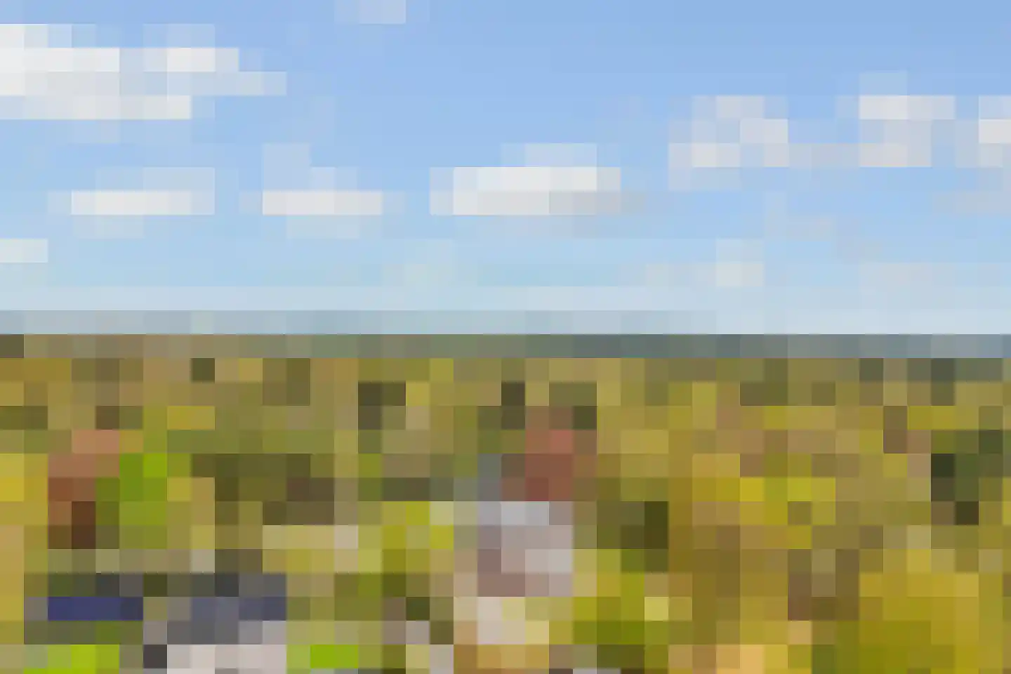 Oudewegselaan 5 Doorn thumbnail 91