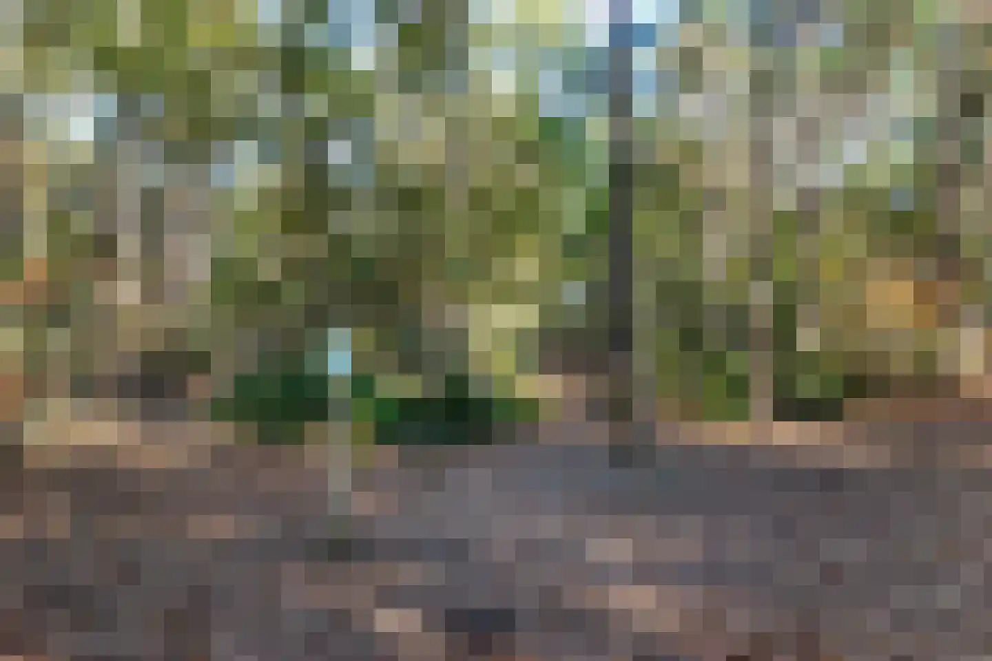Oudewegselaan 5 Doorn thumbnail 92