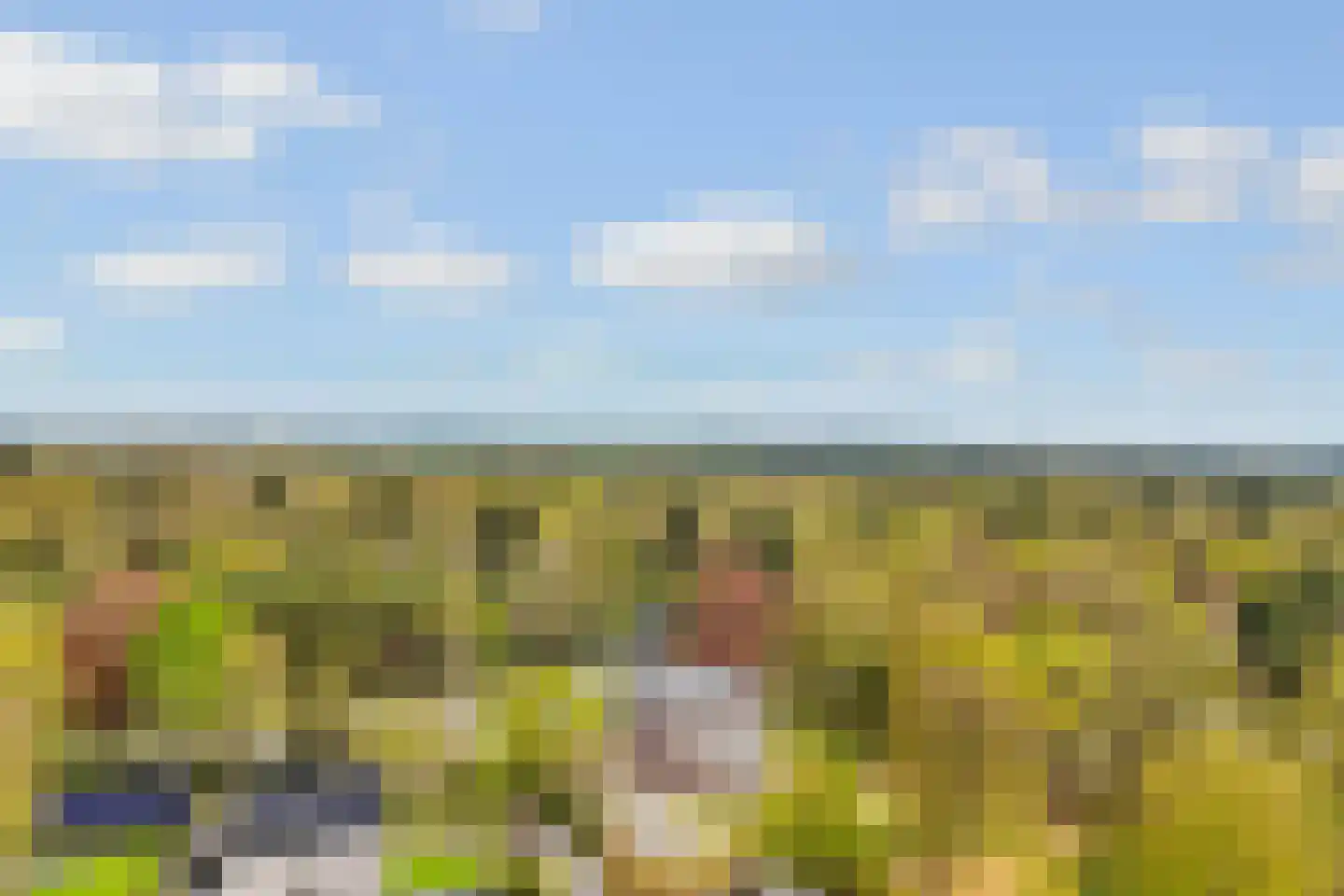 Oudewegselaan 5 Doorn thumbnail 92