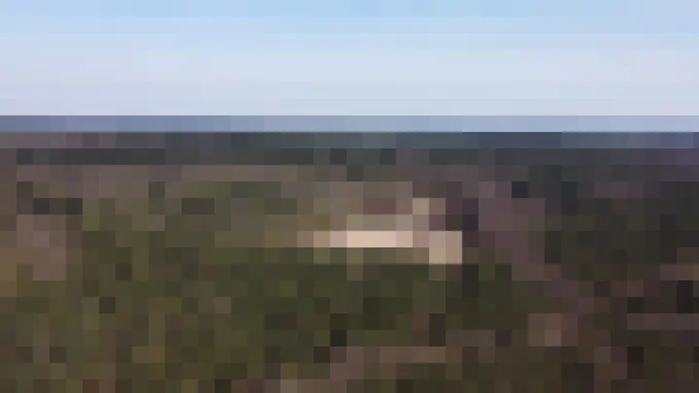 Oudewegselaan 5 Doorn thumbnail 94