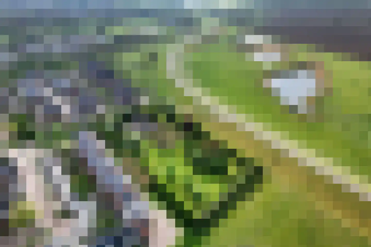 Oudewei 1 b Haalderen thumbnail 11