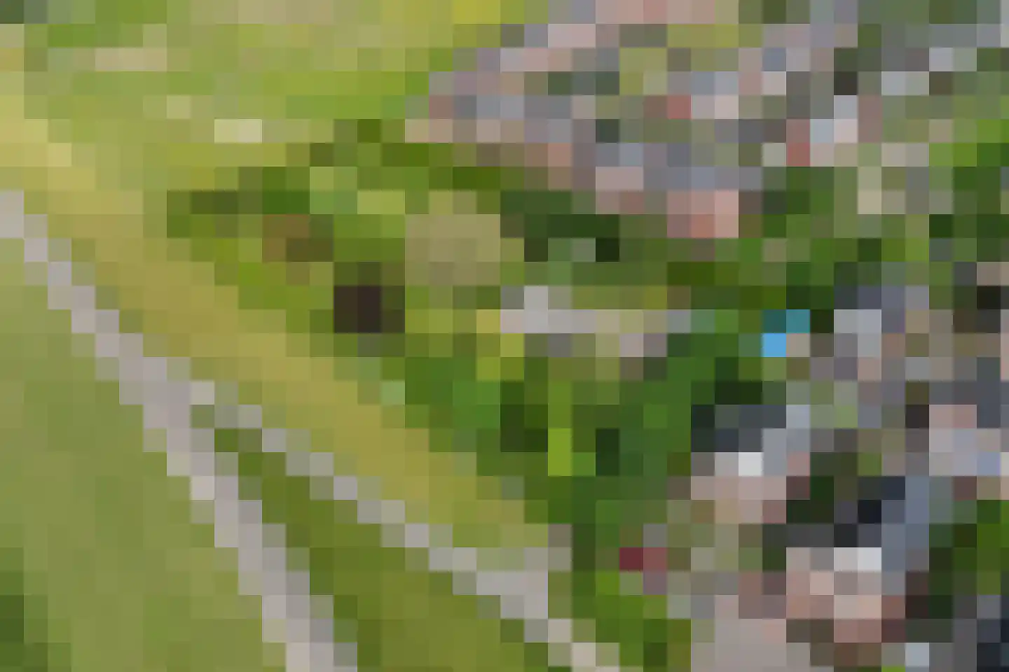 Oudewei 1 b Haalderen thumbnail 13