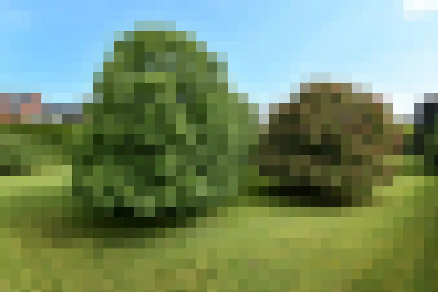 Oudewei 1 b Haalderen thumbnail 7