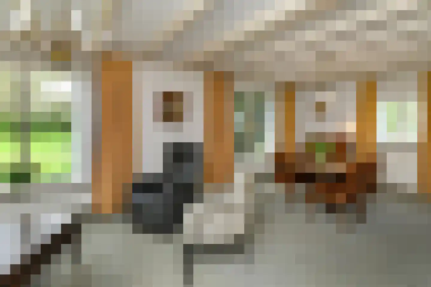 Oudewei 1 Haalderen thumbnail 29