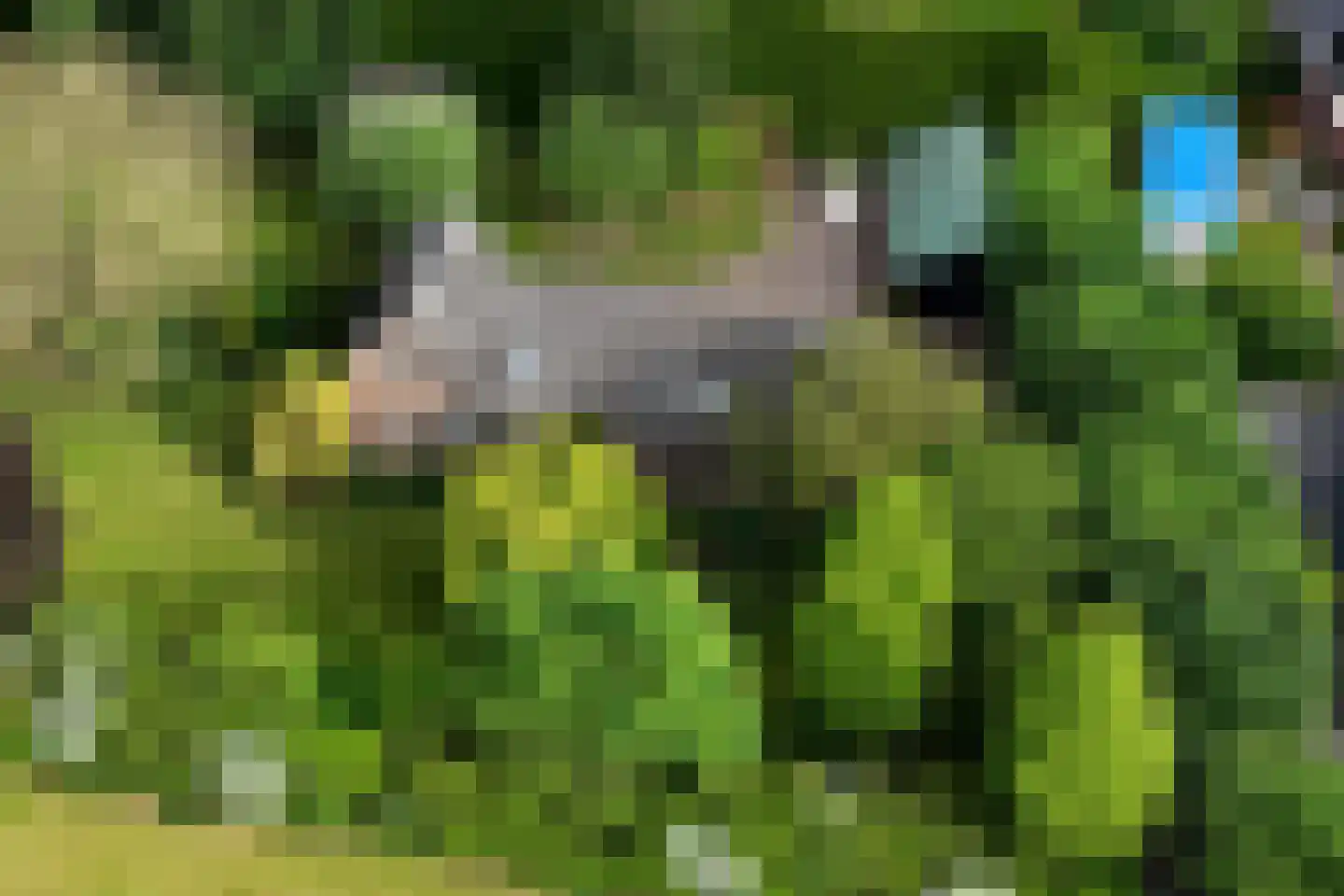 Oudewei 1 Haalderen foto 3