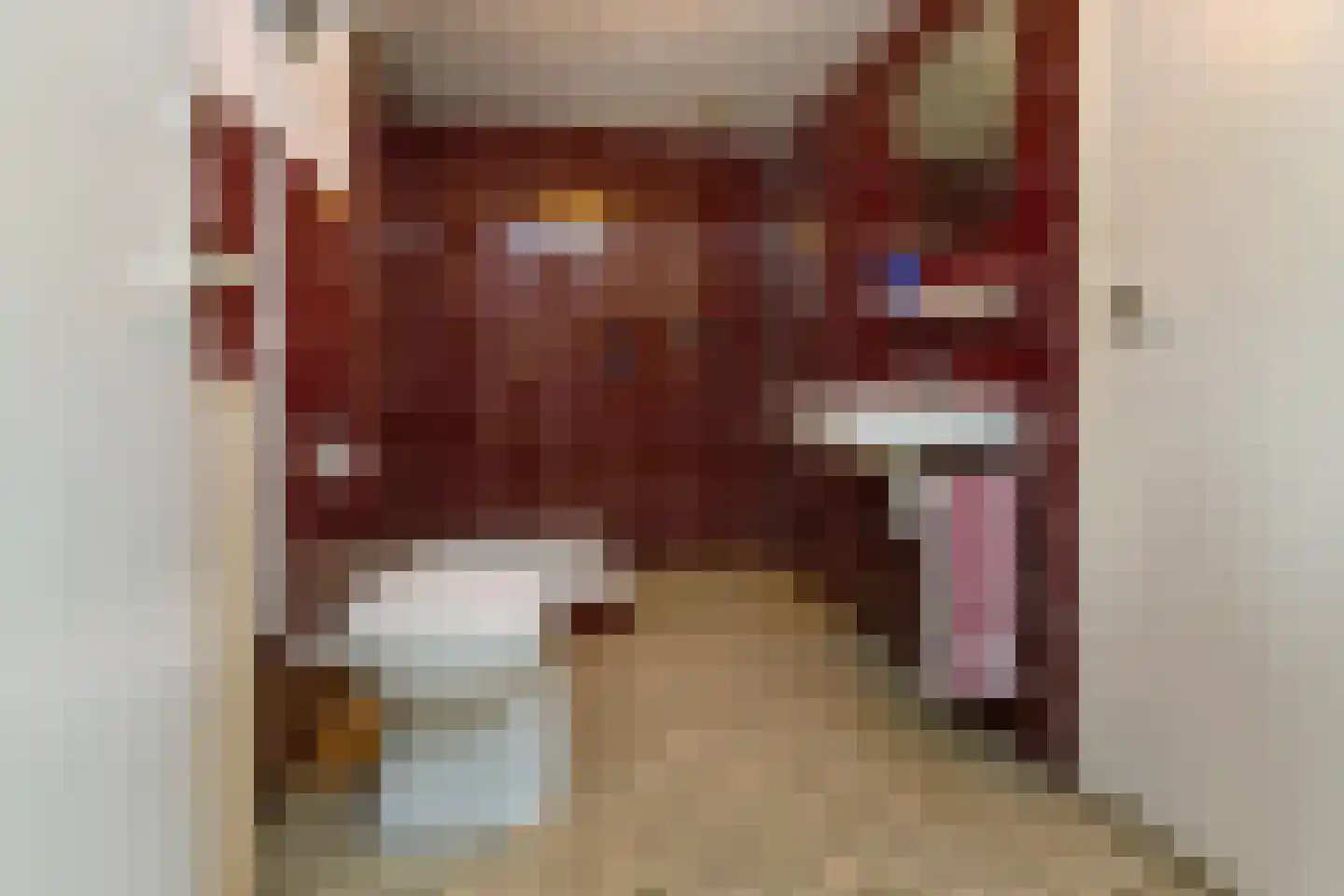 Oudewei 1 Haalderen thumbnail 40