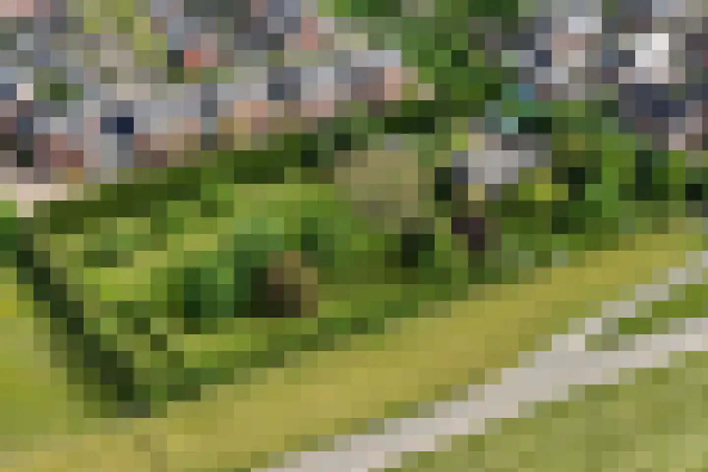 Oudewei 1 Haalderen thumbnail 44