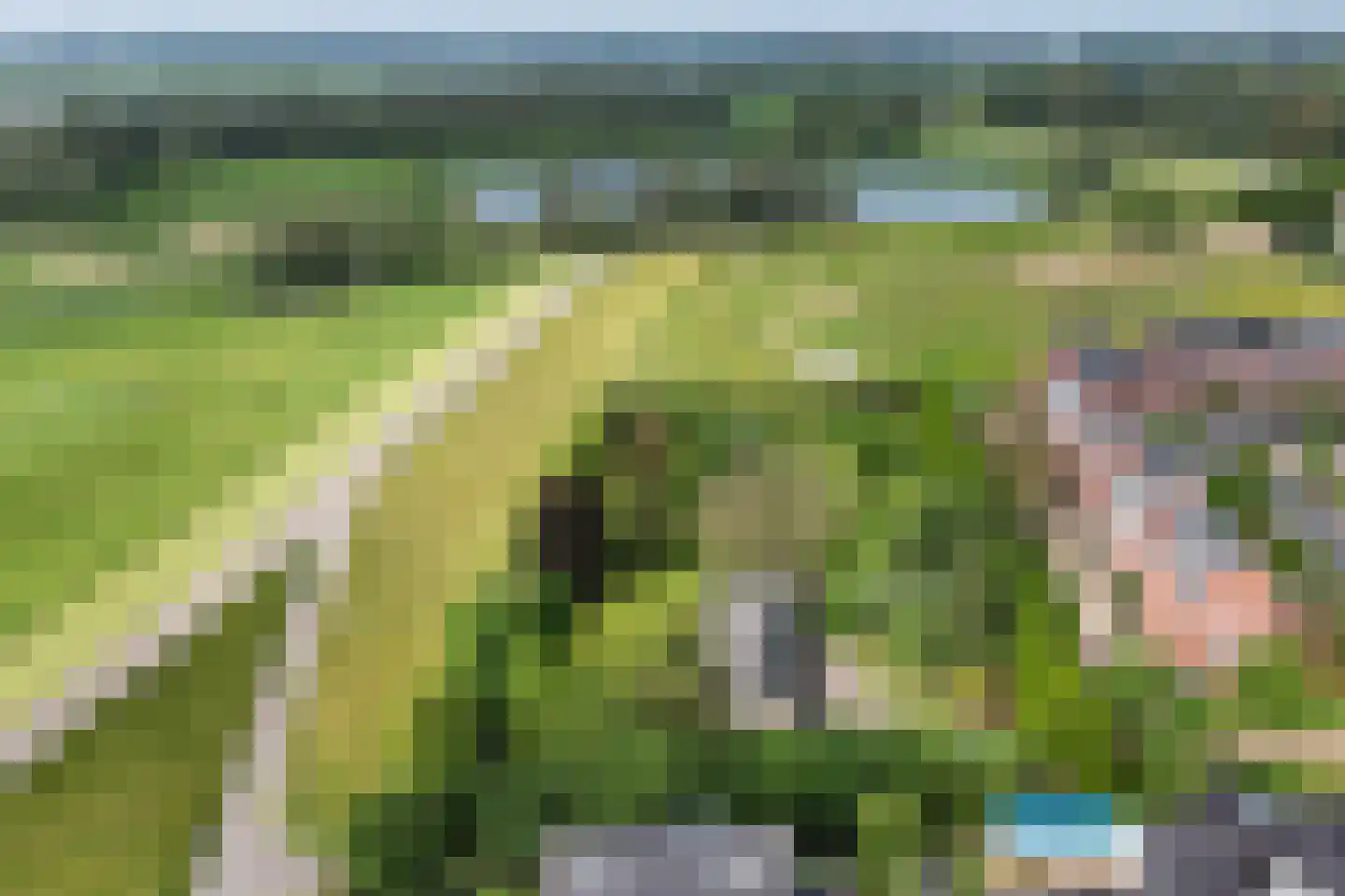 Oudewei 1 Haalderen thumbnail 46