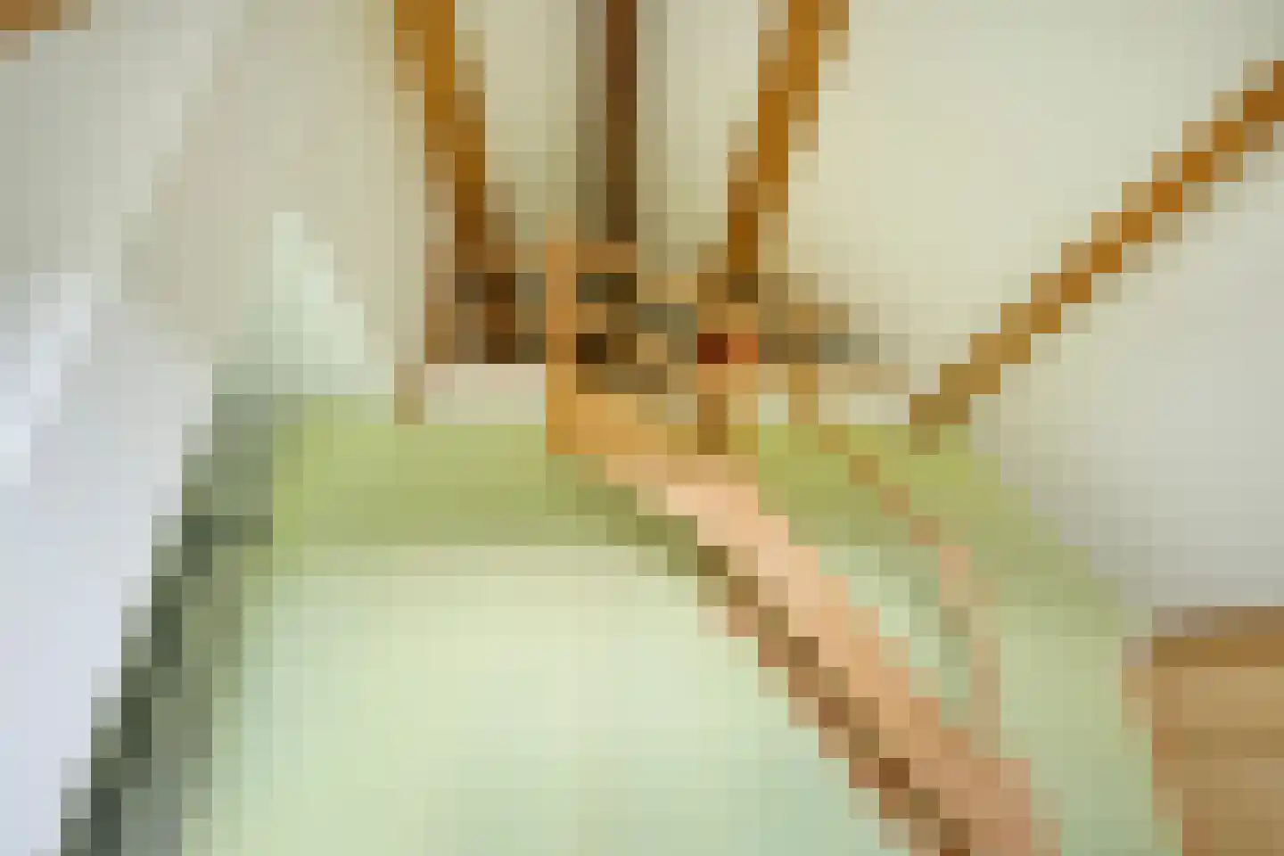 Oudewei 10 Haalderen thumbnail 40