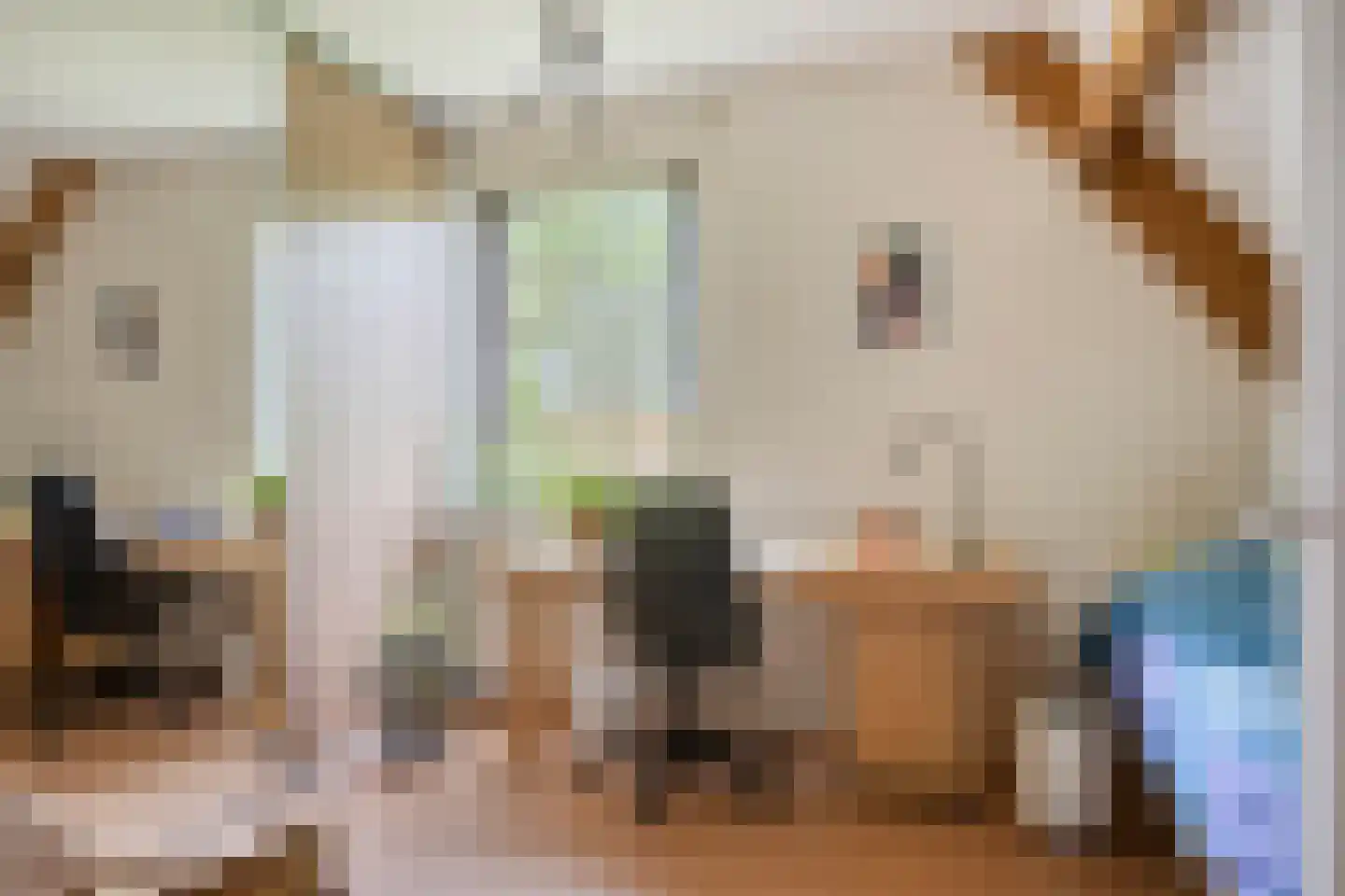Oudewei 10 Haalderen thumbnail 45