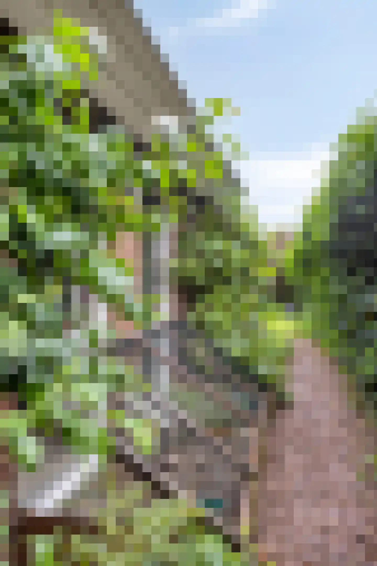 Oudewei 10 Haalderen thumbnail 52