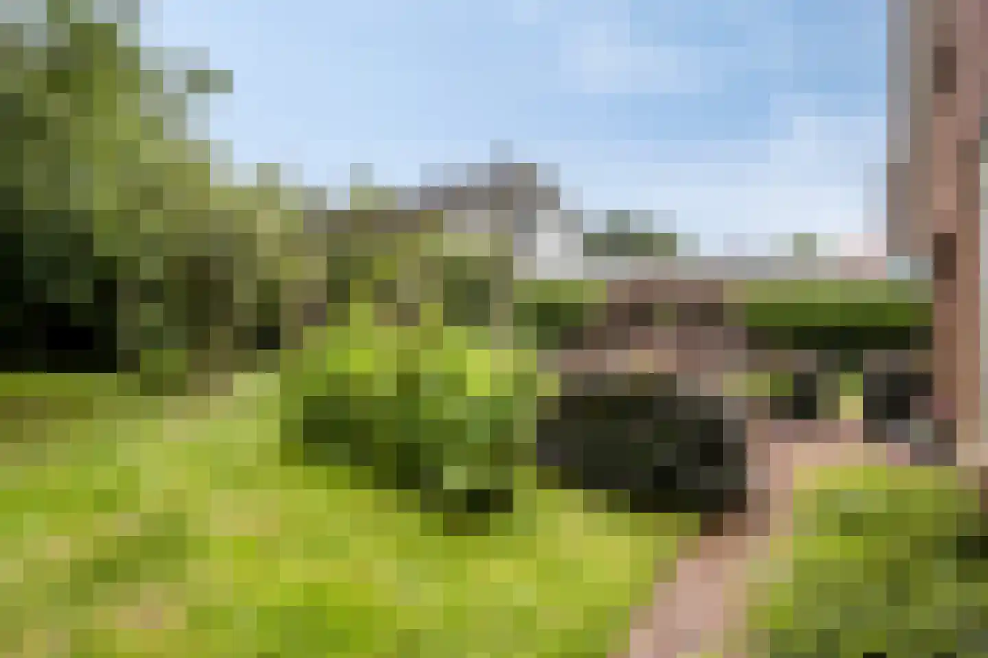 Oudewei 10 Haalderen thumbnail 58