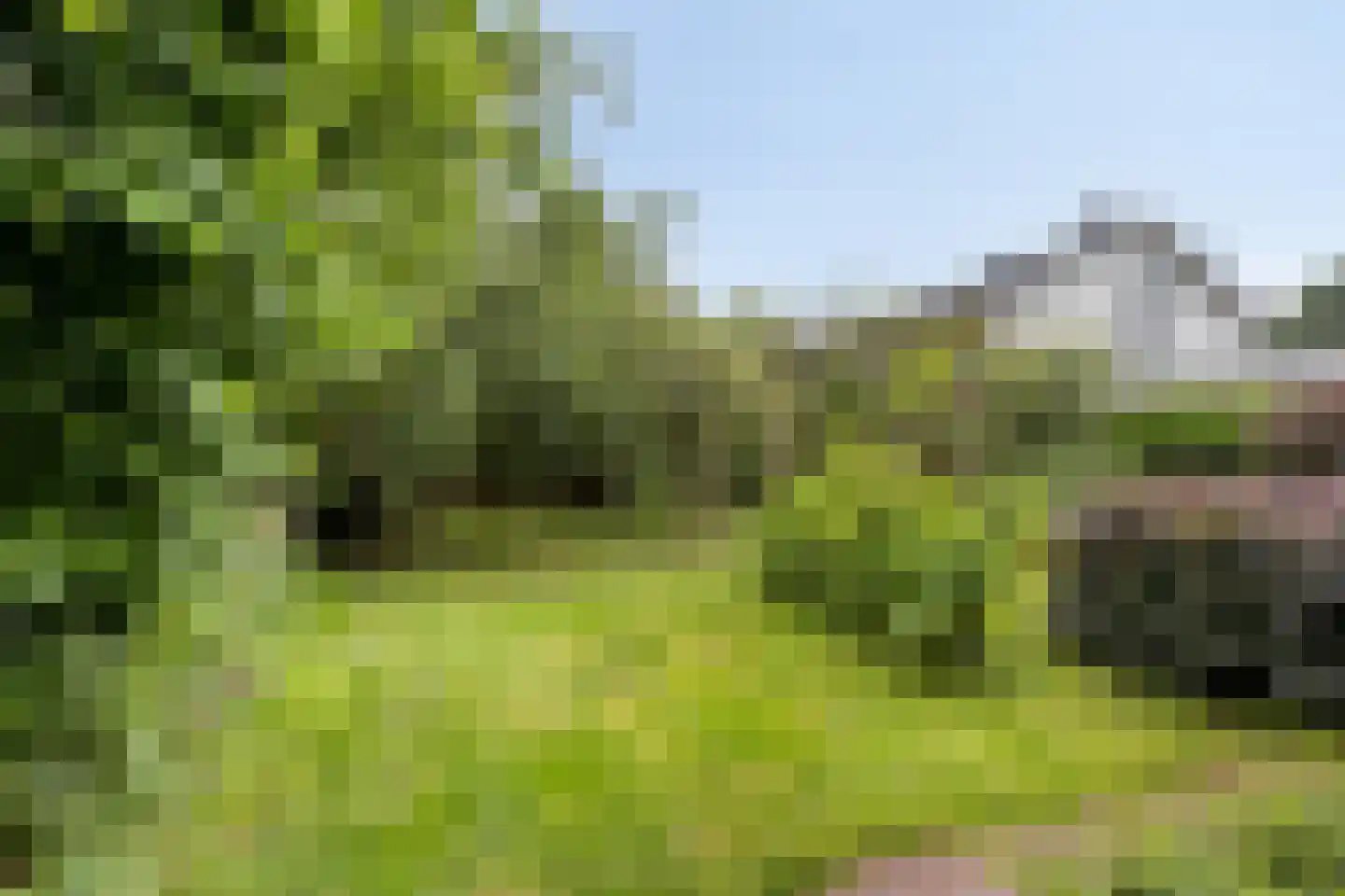 Oudewei 10 Haalderen thumbnail 59
