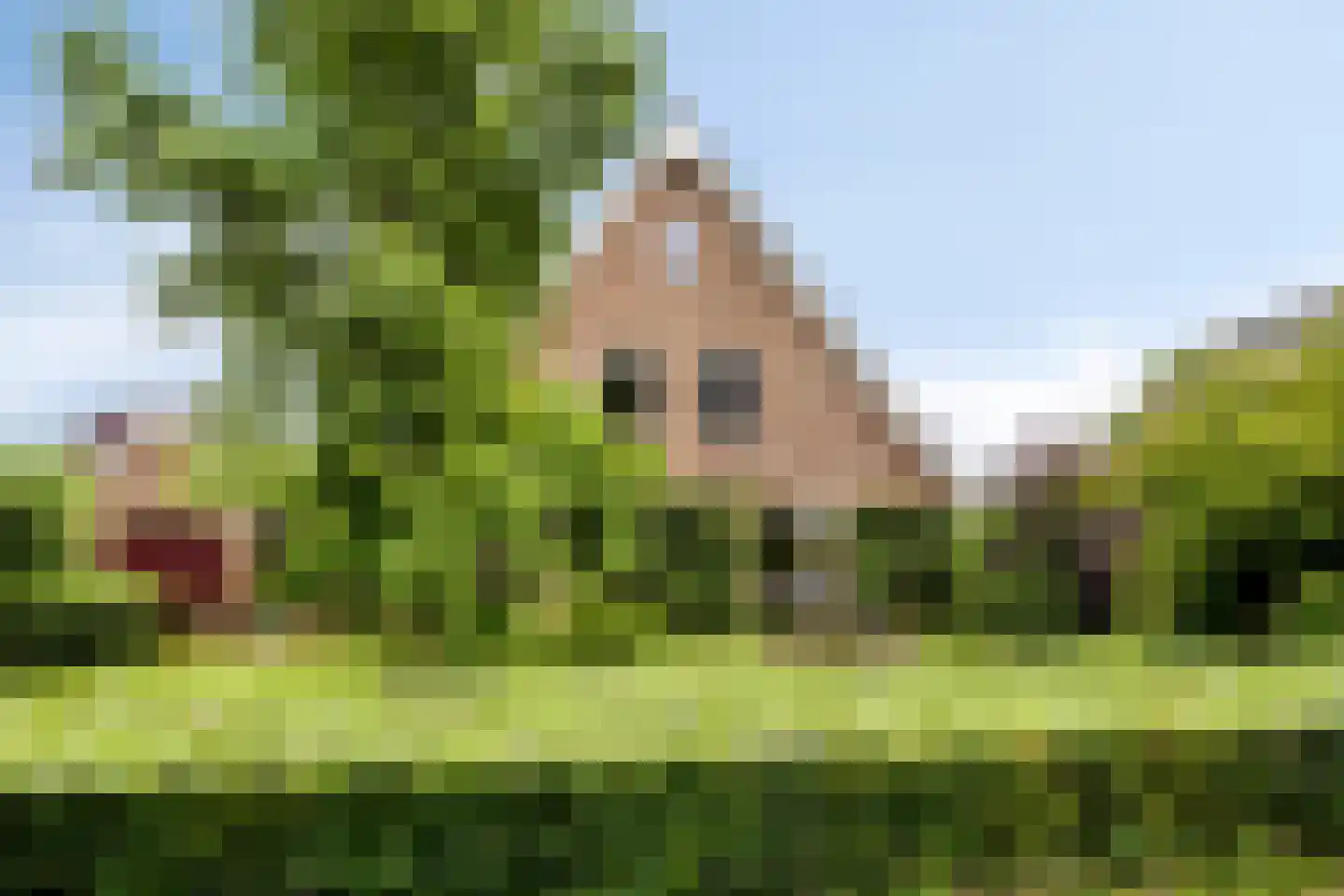 Oudewei 10 Haalderen thumbnail 6