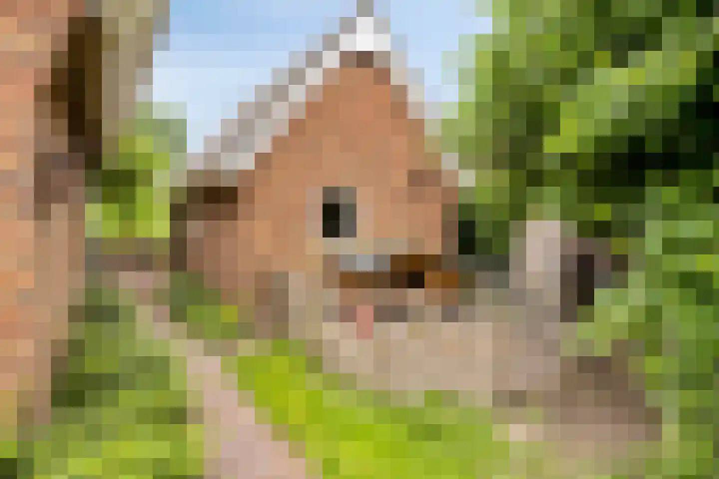 Oudewei 10 Haalderen thumbnail 60