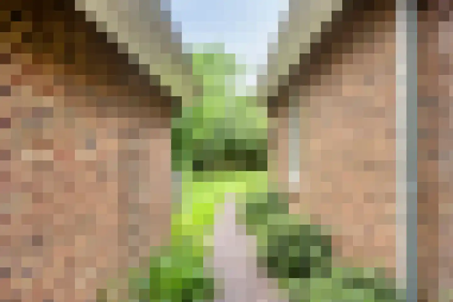 Oudewei 10 Haalderen thumbnail 61