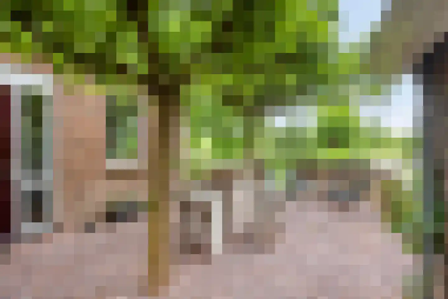Oudewei 10 Haalderen thumbnail 62