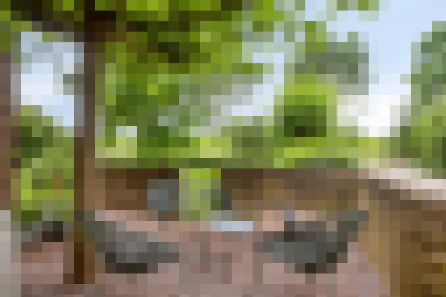 Oudewei 10 Haalderen thumbnail 63