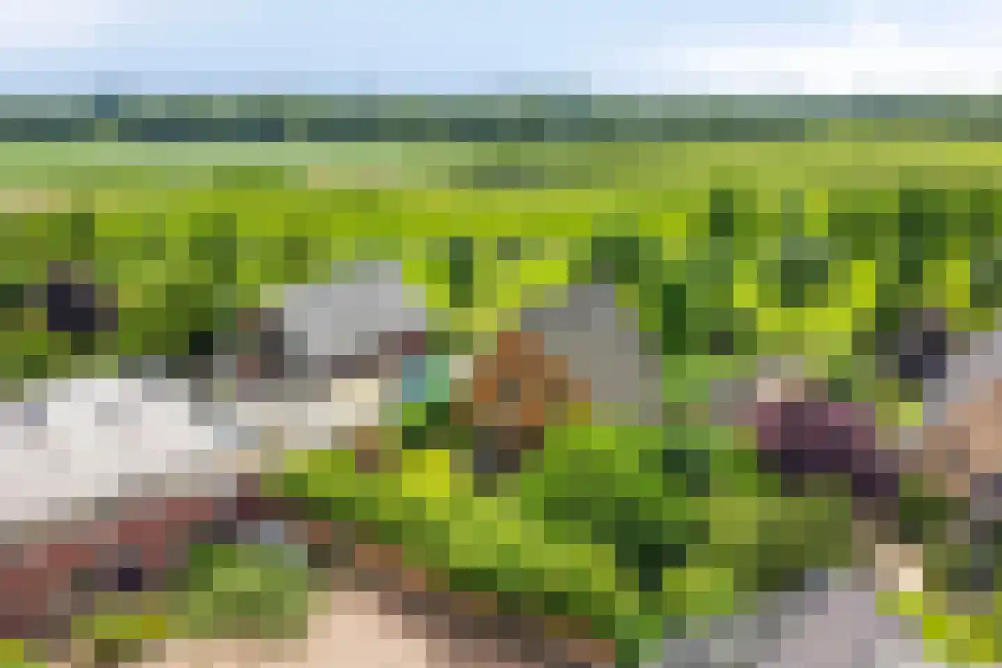 Oudewei 10 Haalderen thumbnail 66