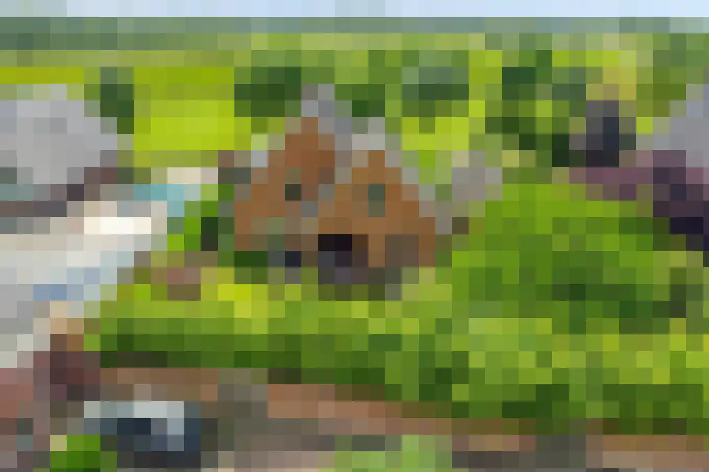 Oudewei 10 Haalderen thumbnail 67