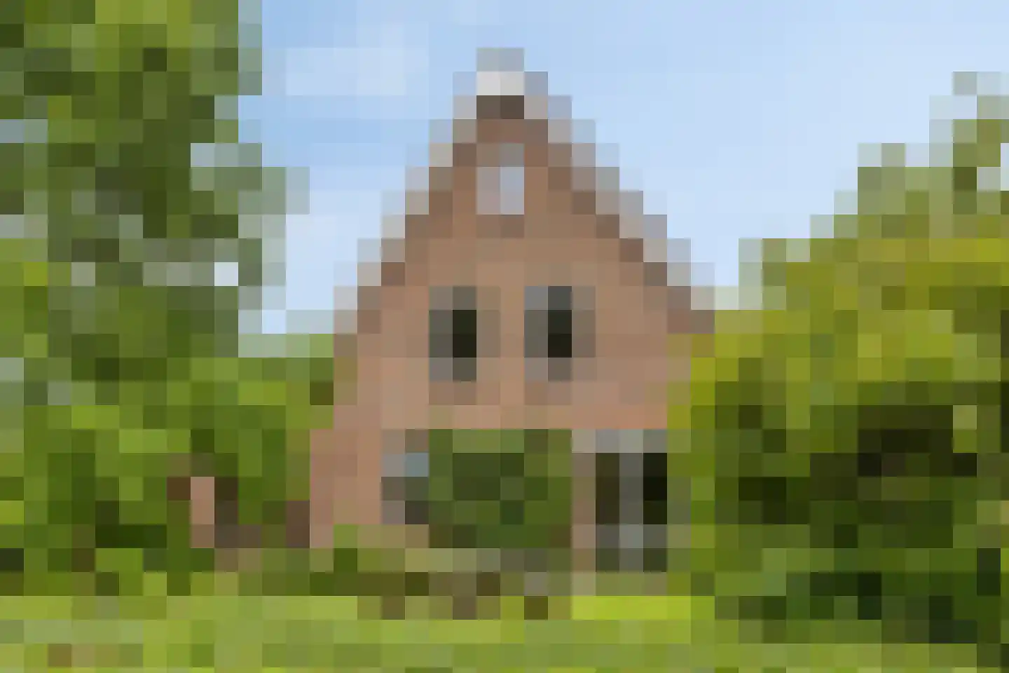 Oudewei 10 Haalderen thumbnail 7