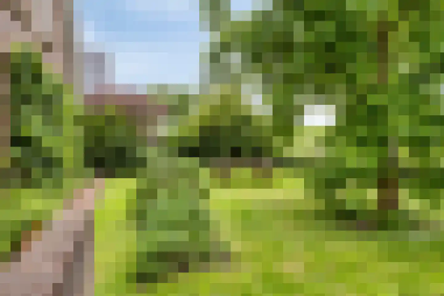 Oudewei 10 Haalderen thumbnail 8