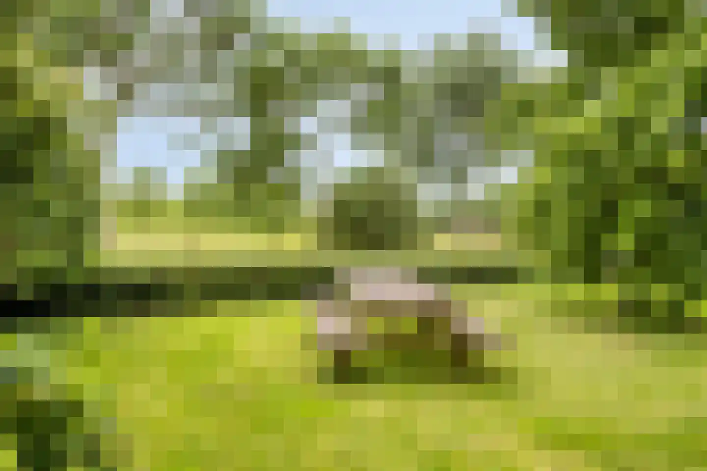 Oudewei 10 Haalderen thumbnail 9