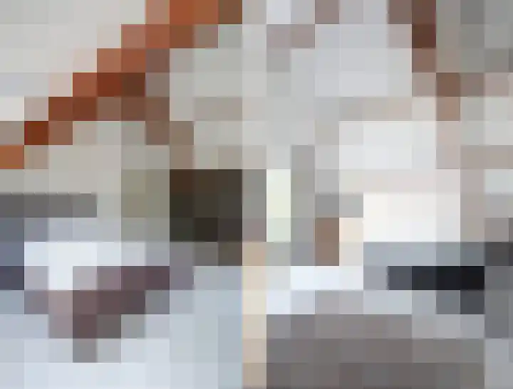 Oudewei 14 Bemmel thumbnail 24
