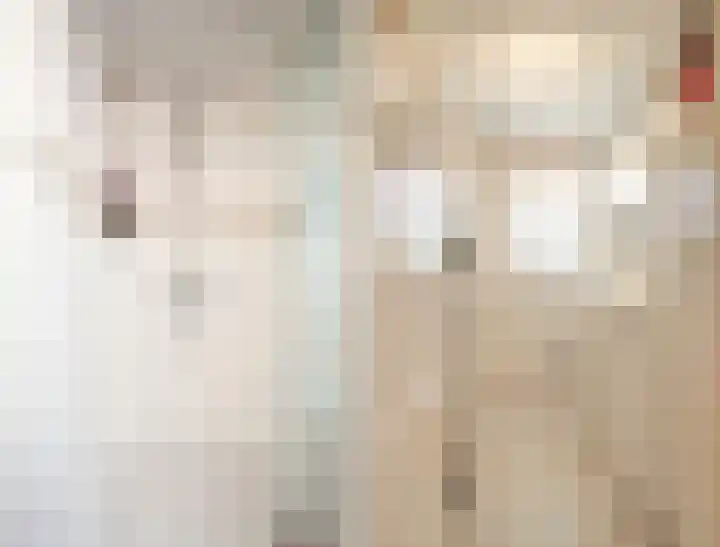 Oudewei 14 Bemmel thumbnail 27