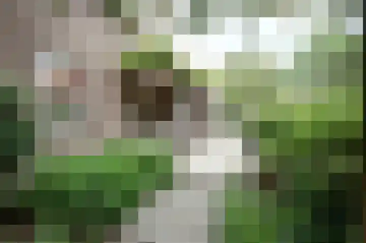 Oudewei 14 Bemmel thumbnail 31