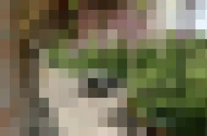 Oudewei 14 Bemmel thumbnail 32