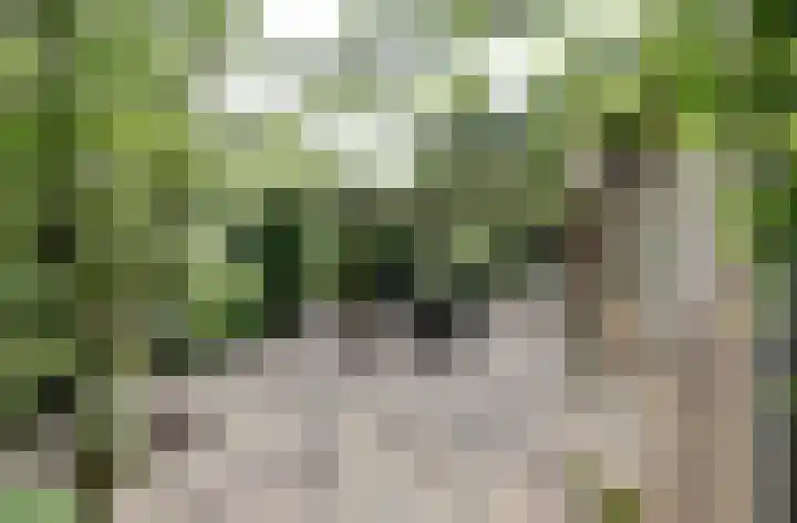 Oudewei 14 Bemmel thumbnail 33