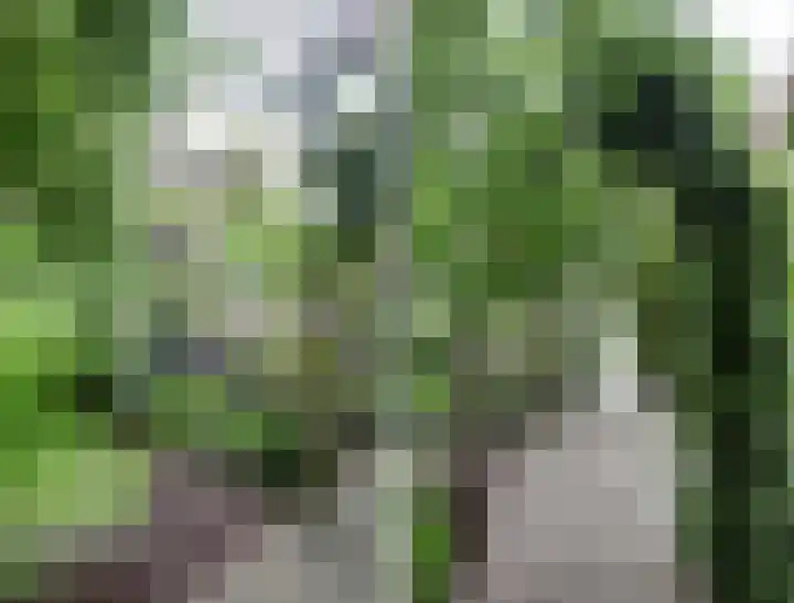 Oudewei 14 Bemmel thumbnail 34