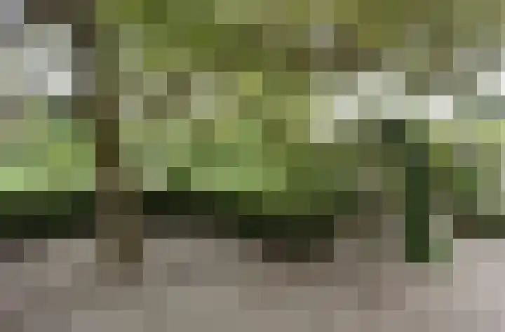 Oudewei 14 Bemmel thumbnail 35